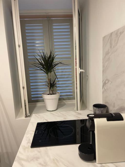 Grand Studio Neuf A 50 M Du Port Saint-Tropez Eksteriør billede