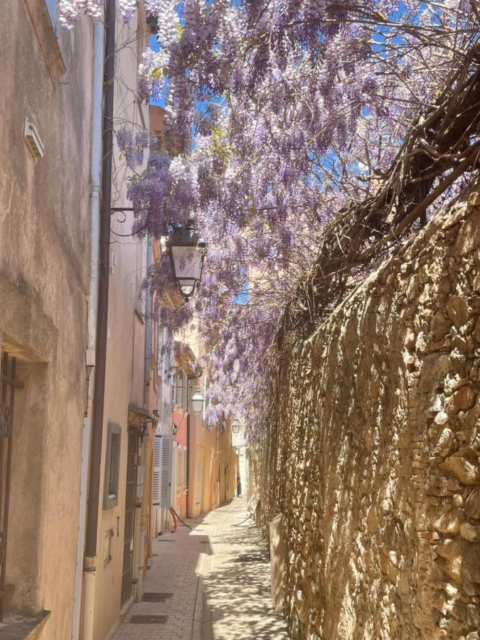 Grand Studio Neuf A 50 M Du Port Saint-Tropez Eksteriør billede