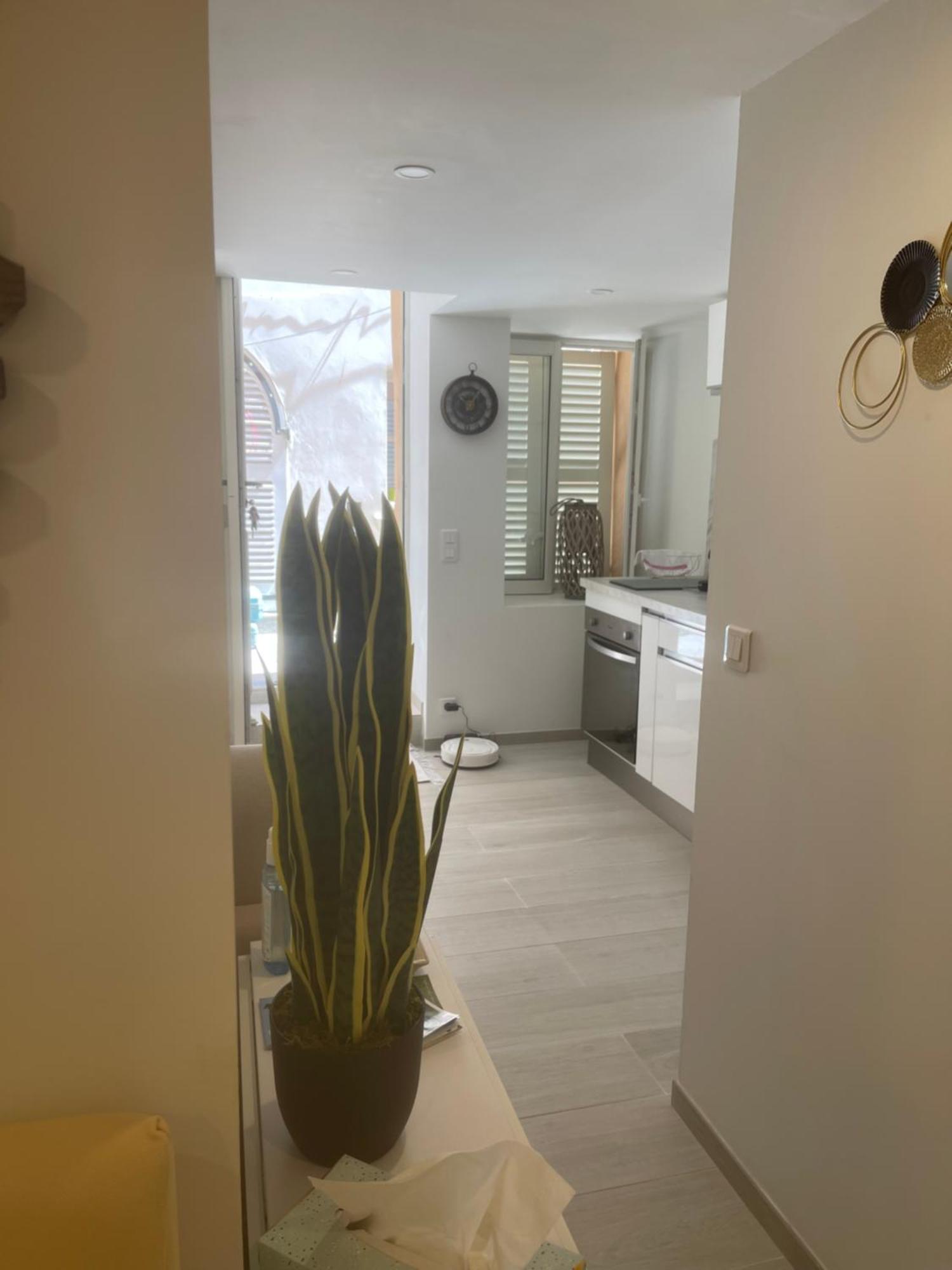 Grand Studio Neuf A 50 M Du Port Saint-Tropez Eksteriør billede